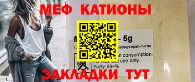 шишки Дубна