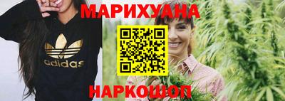шишки Дубна