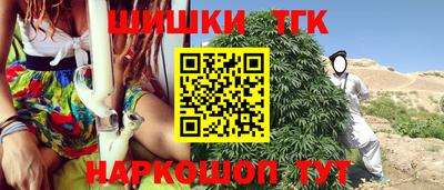 шишки Дубна