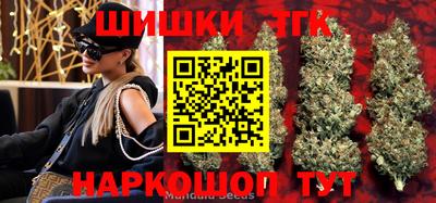 шишки Дубна