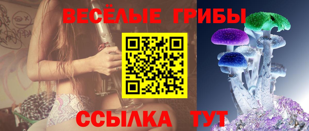 Псилоцибиновые грибы GOLDEN TEACHER  купить   Псилоцибиновые грибы мухоморы  Лангепас  Вход с VPN 